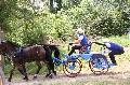 Photo n 37245&#10;Chablis 2016&#10;&#10;Affiche 25 fois&#10;Ajoute le 02/07/2016 22:37:23 par JeanClaudeGrognet&#10;&#10;--> Cliquer pour agrandir <--