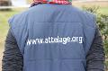 Photo n 37253&#10;Chablis 2016&#10;&#10;Affiche 8 fois&#10;Ajoute le 02/07/2016 22:37:23 par JeanClaudeGrognet&#10;&#10;--> Cliquer pour agrandir <--