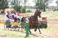 Photo n 37257&#10;Chablis 2016&#10;&#10;Affiche 32 fois&#10;Ajoute le 02/07/2016 22:37:24 par JeanClaudeGrognet&#10;&#10;--> Cliquer pour agrandir <--