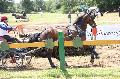 Photo n 37258&#10;Chablis 2016&#10;&#10;Affiche 18 fois&#10;Ajoute le 02/07/2016 22:37:24 par JeanClaudeGrognet&#10;&#10;--> Cliquer pour agrandir <--