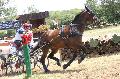 Photo n 37259&#10;Chablis 2016&#10;&#10;Affiche 31 fois&#10;Ajoute le 02/07/2016 22:37:24 par JeanClaudeGrognet&#10;&#10;--> Cliquer pour agrandir <--
