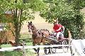 Photo n 37264&#10;Chablis 2016&#10;&#10;Affiche 22 fois&#10;Ajoute le 02/07/2016 22:37:24 par JeanClaudeGrognet&#10;&#10;--> Cliquer pour agrandir <--