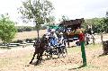 Photo n 37271&#10;Chablis 2016&#10;&#10;Affiche 24 fois&#10;Ajoute le 02/07/2016 22:37:24 par JeanClaudeGrognet&#10;&#10;--> Cliquer pour agrandir <--