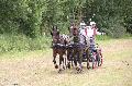 Photo n 37276&#10;Chablis 2016&#10;&#10;Affiche 23 fois&#10;Ajoute le 02/07/2016 22:37:24 par JeanClaudeGrognet&#10;&#10;--> Cliquer pour agrandir <--