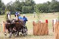 Photo n 37279&#10;Chablis 2016&#10;&#10;Affiche 20 fois&#10;Ajoute le 02/07/2016 22:37:24 par JeanClaudeGrognet&#10;&#10;--> Cliquer pour agrandir <--