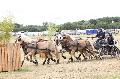 Photo n 37283&#10;Chablis 2016&#10;&#10;Affiche 18 fois&#10;Ajoute le 02/07/2016 22:37:24 par JeanClaudeGrognet&#10;&#10;--> Cliquer pour agrandir <--