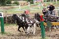 Photo n 37287&#10;Chablis 2016&#10;&#10;Affiche 18 fois&#10;Ajoute le 02/07/2016 22:37:24 par JeanClaudeGrognet&#10;&#10;--> Cliquer pour agrandir <--