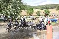 Photo n 37290&#10;Chablis 2016&#10;&#10;Affiche 32 fois&#10;Ajoute le 02/07/2016 22:37:24 par JeanClaudeGrognet&#10;&#10;--> Cliquer pour agrandir <--
