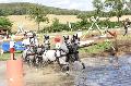 Photo n 37291&#10;Chablis 2016&#10;&#10;Affiche 15 fois&#10;Ajoute le 02/07/2016 22:37:24 par JeanClaudeGrognet&#10;&#10;--> Cliquer pour agrandir <--