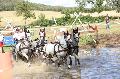 Photo n 37292&#10;Chablis 2016&#10;&#10;Affiche 40 fois&#10;Ajoute le 02/07/2016 22:37:25 par JeanClaudeGrognet&#10;&#10;--> Cliquer pour agrandir <--