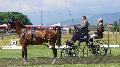 Photo n 37309&#10;CAI Signy photo Harden&#10;&#10;Affiche 23 fois&#10;Ajoute le 05/07/2016 08:30:08 par JeanClaudeGrognet&#10;&#10;--> Cliquer pour agrandir <--