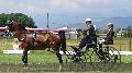 Photo n 37310&#10;CAI Signy photo Harden&#10;&#10;Affiche 14 fois&#10;Ajoute le 05/07/2016 08:30:08 par JeanClaudeGrognet&#10;&#10;--> Cliquer pour agrandir <--