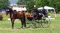 Photo n 37316&#10;CAI Signy photo Harden&#10;&#10;Affiche 10 fois&#10;Ajoute le 05/07/2016 08:30:08 par JeanClaudeGrognet&#10;&#10;--> Cliquer pour agrandir <--
