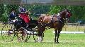 Photo n 37317&#10;CAI Signy photo Harden&#10;&#10;Affiche 16 fois&#10;Ajoute le 05/07/2016 08:30:08 par JeanClaudeGrognet&#10;&#10;--> Cliquer pour agrandir <--