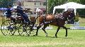 Photo n 37320&#10;CAI Signy photo Harden&#10;&#10;Affiche 15 fois&#10;Ajoute le 05/07/2016 08:30:08 par JeanClaudeGrognet&#10;&#10;--> Cliquer pour agrandir <--