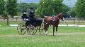 Photo n 37323&#10;CAI Signy photo Harden&#10;&#10;Affiche 9 fois&#10;Ajoute le 05/07/2016 08:30:08 par JeanClaudeGrognet&#10;&#10;--> Cliquer pour agrandir <--