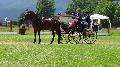 Photo n 37326&#10;CAI Signy photo Harden&#10;&#10;Affiche 9 fois&#10;Ajoute le 05/07/2016 08:30:08 par JeanClaudeGrognet&#10;&#10;--> Cliquer pour agrandir <--