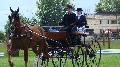 Photo n 37328&#10;CAI Signy photo Harden&#10;&#10;Affiche 10 fois&#10;Ajoute le 05/07/2016 08:30:08 par JeanClaudeGrognet&#10;&#10;--> Cliquer pour agrandir <--