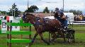 Photo n 37329&#10;CAI Signy photo Harden&#10;&#10;Affiche 15 fois&#10;Ajoute le 05/07/2016 08:30:08 par JeanClaudeGrognet&#10;&#10;--> Cliquer pour agrandir <--