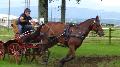 Photo n 37330&#10;CAI Signy photo Harden&#10;&#10;Affiche 41 fois&#10;Ajoute le 05/07/2016 08:30:09 par JeanClaudeGrognet&#10;&#10;--> Cliquer pour agrandir <--