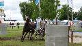 Photo n 37331&#10;CAI Signy photo Harden&#10;&#10;Affiche 24 fois&#10;Ajoute le 05/07/2016 08:30:09 par JeanClaudeGrognet&#10;&#10;--> Cliquer pour agrandir <--