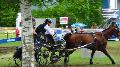 Photo n 37332&#10;CAI Signy photo Harden&#10;&#10;Affiche 30 fois&#10;Ajoute le 05/07/2016 08:30:09 par JeanClaudeGrognet&#10;&#10;--> Cliquer pour agrandir <--