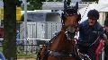 Photo n 37338&#10;CAI Signy photo Harden&#10;&#10;Affiche 10 fois&#10;Ajoute le 05/07/2016 08:30:09 par JeanClaudeGrognet&#10;&#10;--> Cliquer pour agrandir <--