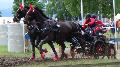 Photo n 37346&#10;CAI Signy photo Harden&#10;&#10;Affiche 25 fois&#10;Ajoute le 05/07/2016 08:30:09 par JeanClaudeGrognet&#10;&#10;--> Cliquer pour agrandir <--