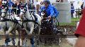 Photo n 37347&#10;CAI Signy photo Harden&#10;&#10;Affiche 23 fois&#10;Ajoute le 05/07/2016 08:30:09 par JeanClaudeGrognet&#10;&#10;--> Cliquer pour agrandir <--