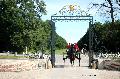 Photo n 37356&#10;HarasnationalPinTradition2016 Photo Chevalandrieu&#10;Julie LHOMER (F) KWPN. Tilbury&#10;Affiche 29 fois&#10;Ajoute le 14/07/2016 11:47:06 par Nadinetoudic&#10;&#10;--> Cliquer pour agrandir <--