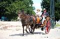 Photo n 37362&#10;HarasnationalPinTradition2016 Photo Chevalandrieu&#10;Sabine CHEENNE (F) Poney Franais de Selle. Garden&#10;Affiche 27 fois&#10;Ajoute le 14/07/2016 15:06:54 par Nadinetoudic&#10;&#10;--> Cliquer pour agrandir <--