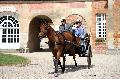 Photo n 37365&#10;HarasnationalPinTradition2016 Photo Chevalandrieu&#10;Alain CAILLEBOT (F) Arbo-Welsh. Military&#10;Affiche 27 fois&#10;Ajoute le 14/07/2016 17:43:36 par Nadinetoudic&#10;&#10;--> Cliquer pour agrandir <--