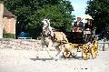 Photo n° 37366
HarasnationalPinTradition2016 Photo Chevalandrieu
Albert LOCKEFEER (NL) Poney Haflinger. Spider-phaëton
Affichée 40 fois
Ajoutée le 14/07/2016 17:43:36 par Nadinetoudic

--> Cliquer pour agrandir <--