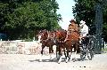 Photo n 37367&#10;HarasnationalPinTradition2016 Photo Chevalandrieu&#10;Rosemary NEALE ( G-B) Poneys Welsh. Phaton&#10;Affiche 25 fois&#10;Ajoute le 14/07/2016 17:43:36 par Nadinetoudic&#10;&#10;--> Cliquer pour agrandir <--