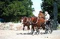 Photo n° 37367
HarasnationalPinTradition2016 Photo Chevalandrieu
Rosemary NEALE ( G-B) Poneys Welsh. Phaëton
Affichée 24 fois
Ajoutée le 14/07/2016 17:43:36 par Nadinetoudic

--> Cliquer pour agrandir <--