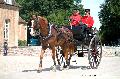 Photo n 37370&#10;HarasnationalPinTradition2016 Photo Chevalandrieu&#10;Freddy MOREAU (F) Anglo-Arabe. Dog Cart&#10;Affiche 50 fois&#10;Ajoute le 14/07/2016 18:45:38 par Nadinetoudic&#10;&#10;--> Cliquer pour agrandir <--