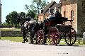 Photo n 37372&#10;HarasnationalPinTradition2016 Photo Chevalandrieu&#10;Lon LEMSON (NL) Frisons&#10;Affiche 33 fois&#10;Ajoute le 14/07/2016 18:45:38 par Nadinetoudic&#10;&#10;--> Cliquer pour agrandir <--