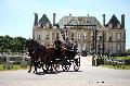 Photo n 37373&#10;HarasnationalPinTradition2016 Photo Chevalandrieu&#10;Irne BERTHELOT (F) Selles Franais. Phaton transformable&#10;Affiche 33 fois&#10;Ajoute le 14/07/2016 18:45:38 par Nadinetoudic&#10;&#10;--> Cliquer pour agrandir <--