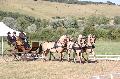 Photo n 37539&#10;BLANGY s/ BRESLE 2016&#10;&#10;Affiche 16 fois&#10;Ajoute le 25/07/2016 08:50:20 par JeanClaudeGrognet&#10;&#10;--> Cliquer pour agrandir <--