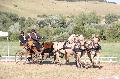 Photo n 37540&#10;BLANGY s/ BRESLE 2016&#10;&#10;Affiche 14 fois&#10;Ajoute le 25/07/2016 08:50:20 par JeanClaudeGrognet&#10;&#10;--> Cliquer pour agrandir <--
