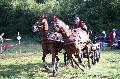 Photo n 37547&#10;Blangy s/ Bresle 2016. Photo Chevalandrieu&#10;Thierry COUAILLET&#10;Affiche 25 fois&#10;Ajoute le 26/07/2016 13:35:06 par Nadinetoudic&#10;&#10;--> Cliquer pour agrandir <--