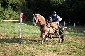 Photo n° 37549
Blangy s/ Bresle 2016. Photo Chevalandrieu
Joseph TIJOU
Affichée 19 fois
Ajoutée le 26/07/2016 13:35:06 par Nadinetoudic

--> Cliquer pour agrandir <--