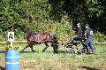 Photo n 37551&#10;Blangy s/ Bresle 2016. Photo Chevalandrieu&#10;Robert BOUCHE&#10;Affiche 13 fois&#10;Ajoute le 26/07/2016 13:35:06 par Nadinetoudic&#10;&#10;--> Cliquer pour agrandir <--