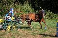 Photo n 37552&#10;Blangy s/ Bresle 2016. Photo Chevalandrieu&#10;Auriane LAVICE&#10;Affiche 25 fois&#10;Ajoute le 26/07/2016 13:35:06 par Nadinetoudic&#10;&#10;--> Cliquer pour agrandir <--