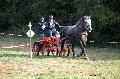 Photo n 37556&#10;Blangy s/ Bresle 2016. Photo Chevalandrieu&#10;Gilles NEVEU&#10;Affiche 39 fois&#10;Ajoute le 26/07/2016 13:40:35 par Nadinetoudic&#10;&#10;--> Cliquer pour agrandir <--