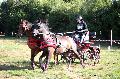 Photo n 37559&#10;Blangy s/ Bresle 2016. Photo Chevalandrieu&#10;Bruno HIS&#10;Affiche 28 fois&#10;Ajoute le 26/07/2016 13:40:35 par Nadinetoudic&#10;&#10;--> Cliquer pour agrandir <--