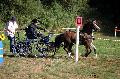 Photo n° 37560
Blangy s/ Bresle 2016. Photo Chevalandrieu
Arnaud CARLE
Affichée 66 fois
Ajoutée le 26/07/2016 13:40:35 par Nadinetoudic

--> Cliquer pour agrandir <--