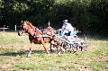 Photo n 37563&#10;Blangy s/ Bresle 2016. Photo Chevalandrieu&#10;Robin CRESSENT&#10;Affiche 15 fois&#10;Ajoute le 29/07/2016 17:45:42 par Nadinetoudic&#10;&#10;--> Cliquer pour agrandir <--