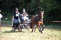 Photo n 37564&#10;Blangy s/ Bresle 2016. Photo Chevalandrieu&#10;Sabine GUERIN&#10;Affiche 16 fois&#10;Ajoute le 29/07/2016 17:45:42 par Nadinetoudic&#10;&#10;--> Cliquer pour agrandir <--