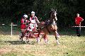 Photo n 37569&#10;Blangy s/ Bresle 2016. Photo Chevalandrieu&#10;Dany PRESTAUX&#10;Affiche 39 fois&#10;Ajoute le 29/07/2016 17:45:42 par Nadinetoudic&#10;&#10;--> Cliquer pour agrandir <--